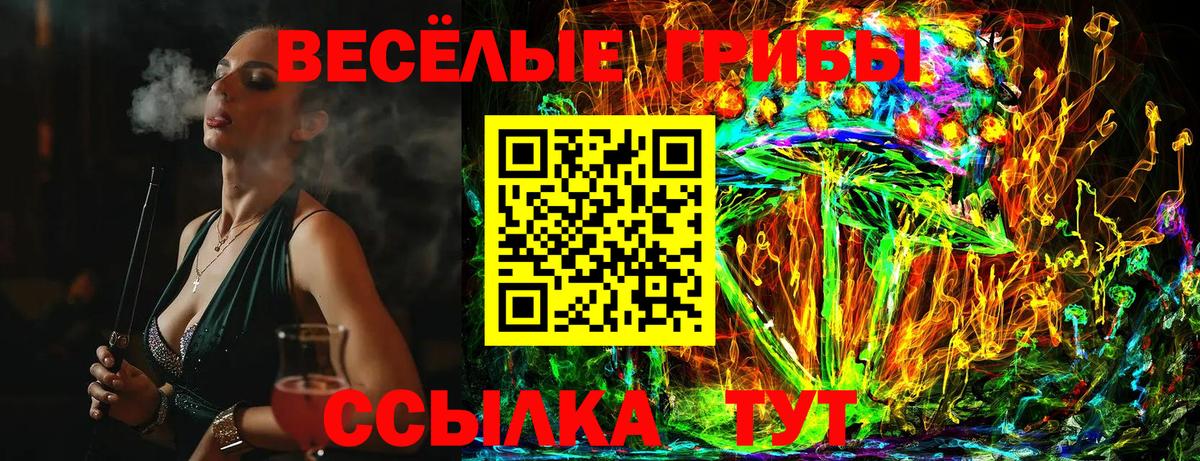 наркотики  Псилоцибиновые грибы прущие грибы  Комсомольск-на-Амуре  Вход с VPN  Галлюциногенные грибы MAGIC MUSHROOMS 